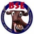 Spolupracujeme s: BSE UNITED